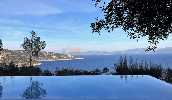 Πισίνα - θέα . Swimming pool - View 